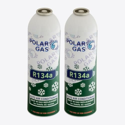 2GA Car Aircon AC 2pcs R134a Compatible Refill Recharge Regas Gas 584gr