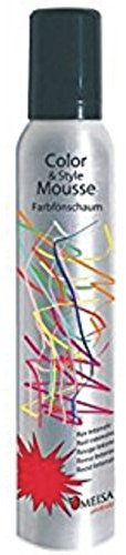 Omeisan Color & Style Mousse silber, Farbschaum