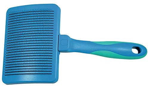Carde Auto Nettoyante - Taille T1