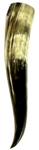 Naturprodukte-MV Trinkhorn (ca. 0,5l) Methorn