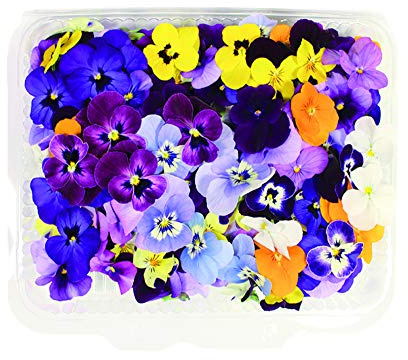 Fiori Commestibili BIO LOGICI - 120 Veilchen in gemischten Farben in einer Lebensmittelschale von 23 cm x 15 cm x 1,5 cm - in der Toskana vom Bauernhof Carmazzi angebaut