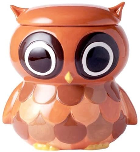 NIVOVA Owl Painted Ceramic Storage Tank, Decoration Candy Snack Jar, Storage Tank with Lid, Biscuit Jar