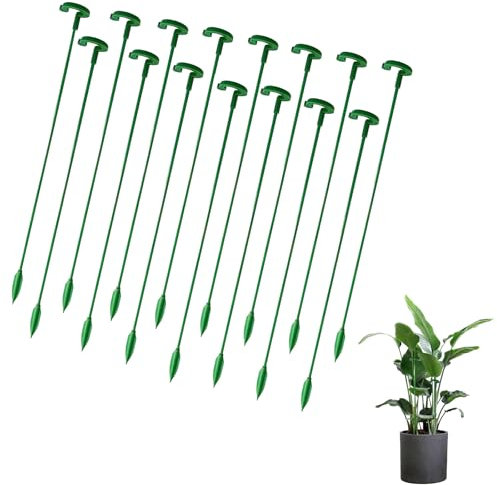 DHWEKU 15 Pezzi Pali di Supporto per Piante, 27CM Paletto di Supporto a Stelo Singolo Diametro Anello di Supporto per Gabbia per Piante per Fiore Amarillide Li Rosa Peonia