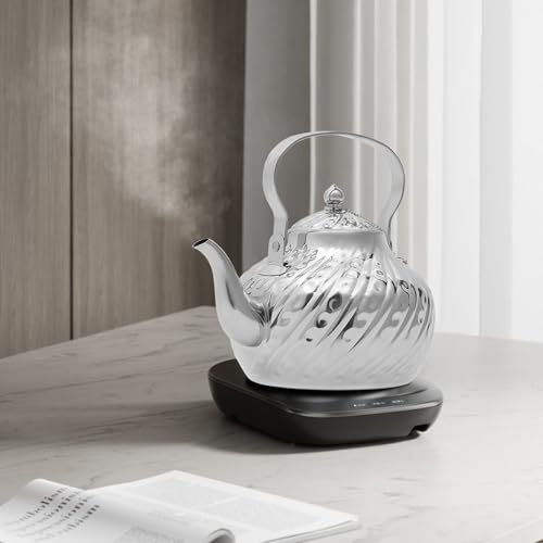 WindWilder Teekanne 2L Edelstahl Teekanne mit Teesieb für Induktionsherden, Gasherden usw für Tee, Kaffee, Milch, 14x20.5x20cm (Silber)
