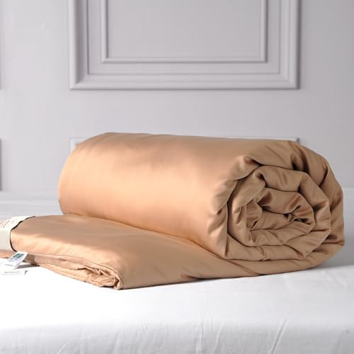 CUDDLE DREAMS Silk Comforter with Tencel™ Lyocell Cover, Natural, Breathable, Cooling, Midweight for All-Season (Bronze, Queen)