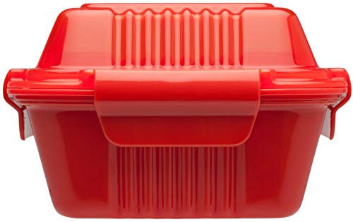 Aladdin 31807 Take Away Lunchbox, doppelwandig, 0.35 Liter