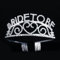 Veewon Braut zu sein Tiara Krone Stirnband Kamm Rhinestone Schein für Hochzeit Brautdusche und Bachelorette Party