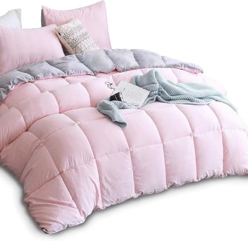 KASENTEX Parure de lit matelassée en Duvet Alternatif pour Toutes Les Saisons, réversible, Ultra Douce, Lavable en Machine (lit Simple, Pot-pourri Rose/Quartz argenté)
