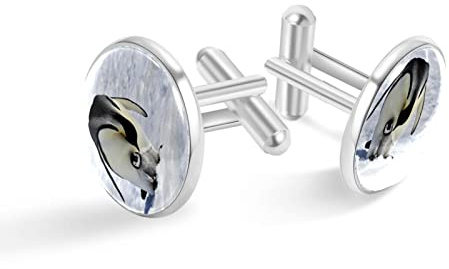 Personalisierte Silber-Manschettenknöpfe Pinguin-Tier für Smoking-Shirts, 20mm*20mm, Edelstahl, Künstlicher Quarz