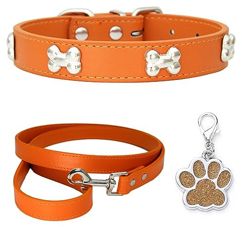 HALFSUMO Hundehalsband Leder Halsband Hundeleine Combo Set Hundehalsbänder Verstellbares Welpenhalsband für Kleine Mittelgroße Hunde Katzen Orange S