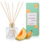 Raumduft Diffuser Mit 6 Duftstäbchen 100ml - Kantalupe,Aromatherapie Diffusor,Natürlich,Langanhaltend,Home Duft Reed Diffusor Lufterfrischer für Schlafzimmer Büro Badezimmer Regal Dekor
