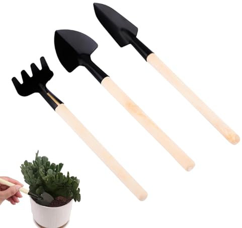 min Gartenwerkzeug-Set für den Innenbereich | Sukkulenten Werkzeuge Set | Rechen, Schaufel, Zange für Kakteen & Terrarien, perfekt für die Pflege von kleinen Pflanzen, Präzisionsarbeiten & Dekoration
