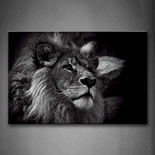 First Wall Art Löwe Löwen Bilder Leinwand 24x36inch Bild Schwarz Weiß Tier Wandbilder Wohnzimmer Moderne für Schlafzimmer Dekoration Wohnung Home Deko Kunstdruck