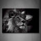 First Wall Art Löwe Löwen Bilder Leinwand 24x36inch Bild Schwarz Weiß Tier Wandbilder Wohnzimmer Moderne für Schlafzimmer Dekoration Wohnung Home Deko Kunstdruck