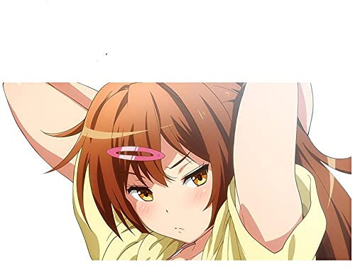 13 cm x 6,7 cm für Chuunibyo Demo Koi Ga Shitai Nibutani Shinka Autoaufkleber Kühlschrank