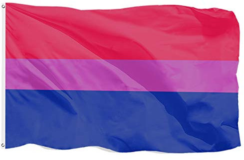 Drapeau de la fierté de la LGBT - 1,5 x 0,9 m - Avec œillets pour décorations Bi Pride - 100 % polyester