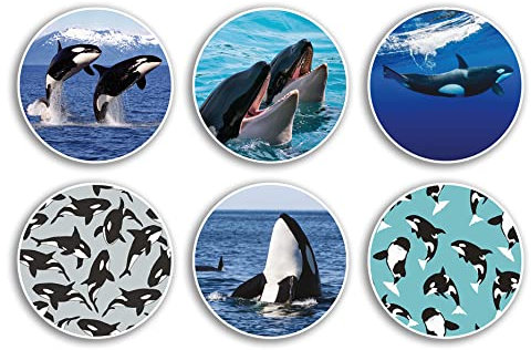 6 x 10 cm Orca-Wal Vinyl-Aufkleber – Meerestier-Muster Cartoon Unterwasser Tier Killer Scrapbooking Geschenk #79014
