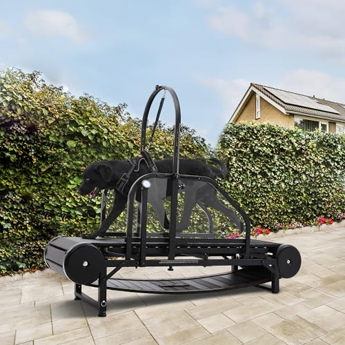 Moysoon Hunde Laufband für Große Hunde & Mittlere Hunde, Hunde Laufmaschine mit Timer, Hund Schiefermühle für Indoor & Outdoor & Gesund, Hund Laufband für Hunde bis zu 204.1 kg