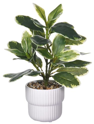 WishTip Artificial Potted Rubber Plant with White Ceramic Pot Variegated Rubber Tree for Indoor Office Bathroom Home Décor