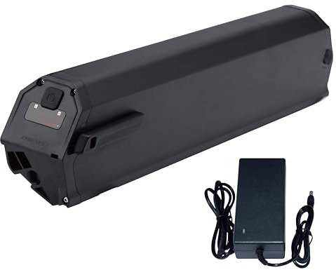 Batteria Ebike per Reention Dorado-Plus 48 V 15 Ah per motore da 250 W 350 W 500 W 750 W compatibile con batteria NCM per Yukon750 per Reention per DLG/NCM per Moscow per Dorado INR batteria di