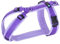 Anny·x Fun Hundegeschirr, Verstellbar, Farbe Lavendel, Größen XXS bis XL (Lavendel, M)