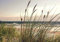 Forwall - Vlies Fototapete Gras Dünen Strand Meer Ostsee Natur Landschaft 368x254 cm - Fototapeten - Tapeten - für Wohnzimmer Schlafzimmer - Vliestapete Wandtapete Tapete 3D Effekt- inkl. Kleister