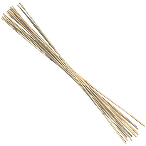 20 Tonkinstäbe 105 cm lang x 8-10 mm Ø stabile Pflanzstäbe