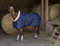 EQUITHÈME „Teddy Stalldecke, Rückenlänge 155 cm, marineblau/ecru