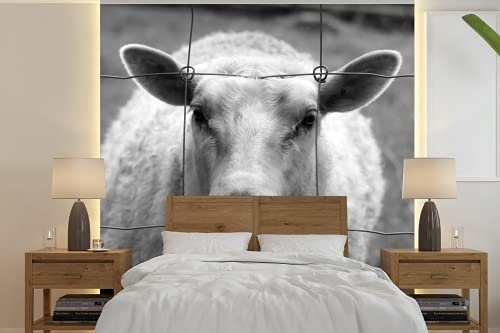 Selbstklebend Tapete Wandpapier Wandaufkleber Fototapete Tapeten Wanddeko 350x350 cm Schafe - Zaun - Schwarz - Weiß