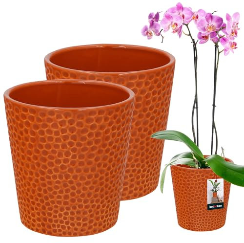 KOTARBAU® Set di 2 vasi da fiori in ceramica smaltata, diametro 12 cm, altezza: 15 cm, vaso per orchidee in ceramica, vaso per fiori in ceramica, per piante da interno