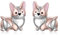 Corgi Ohrstecker 925 Sterling Silber Niedliche Corgi Ohrringe Tierwelpen Hund Ohrstecker Hypoallergen Corgi Schmuck Geschenke für Frauen Hundeliebhaber