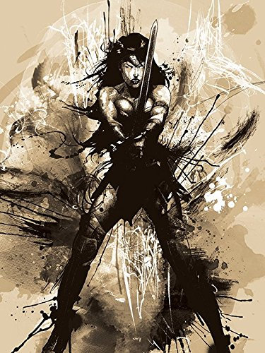 DC Comics Batman V Superman Wonder Woman Art Kunstdruck auf Leinwand, Mehrfarbig, 60 x 80 cm