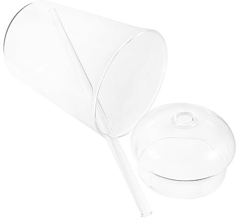 PAMINGONO Vaso Con Pajita y Tapa De Vidrio Transparente Ideal Para Beber y Embalaje Portátil