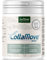 AniForte Marine Kollagen Gelenkpulver für Hunde CollaMove 250g – Fisch Collagen unterstützt Gelenke, Sehnen & Bänder – Naturprodukt für Gelenkfunktion & Agilität