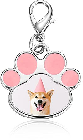 PiercingJak Photo Personnalisé Porte-clés Patte de Chien Chat Pendentif Cadeau Personnalisable Chien Chat Animal de Compagnie Best Friend Amitié Anniversaire Famille (Rose)