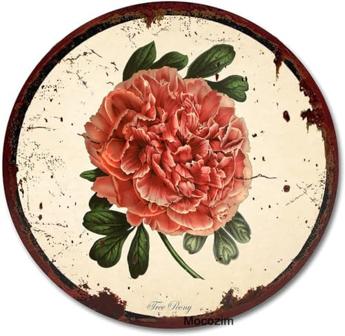 kisoyo Plaque ronde en métal giclée rose écarlate - Décoration murale vintage - Imprimé botanique floral - Art antique - Pour maison, chambre à coucher, cuisine, salon - 30,5 x 30,5 cm