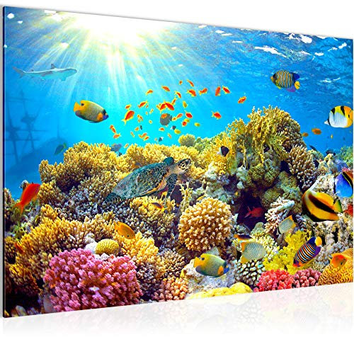 Runa Art Bild Unterwasserwelt Korallen Modern Wandbilder Wohnzimmer Schlafzimmer 1 Teilig - Made In Germany - Ozean Fisch Blau Flur 608715a