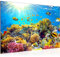 Runa Art Bild Unterwasserwelt Korallen Modern Wandbilder Wohnzimmer Schlafzimmer 1 Teilig - Made In Germany - Ozean Fisch Blau Flur 608715a