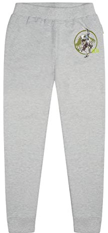 ONOMATO! Jurassic World Beta Jungen Jogging-Hose Kinder Trainingshose Grau, Größe Kids:140