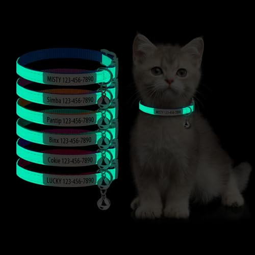 Individuelles im Dunkeln leuchtendes Katzenhalsband – Personalisiertes Katzen-ID-Halsband mit Name & Telefonnummer, Leuchtendes verstellbares Halsband mit Schnellverschluss für Haustiere