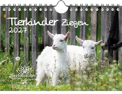 Tierkinder Ziegen DIN A5 Kalender für 2027 Ziegen und Zicklein - Seelenzauber