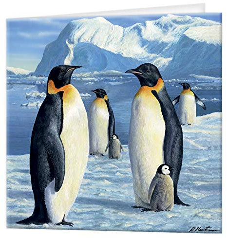 3D LiveLife tarjeta de felicitación majestad antártica, tarjeta lenticular 3D del pingüino colorido de Deluxebase, para cualquier ocasión y edad. ¡Ilustraciones originales autorizadas del artista