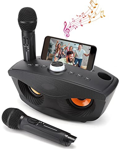 Kabelloser tragbarer Karaoke Lautsprecher mit Bluetooth und Zwei Mikrofonen für Heimpartys (Schwarz)