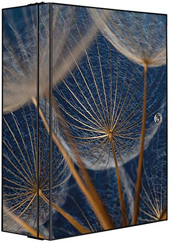 banjado Medizinschrank abschliessbar mit Motiv Verblüht 35x46x15cm - großer Arzneischrank für die Hausapotheke - Medikamentenschrank aus Metall zur Medikamenten Aufbewahrung