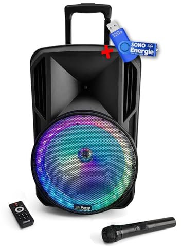 Party Sound & Light Enceinte Sono Portable Batterie de 700W 12 à LED RGB - USB/Micro SD/BT/FM + Micro VHF + Tél +clé USB 32Go