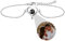 Foto Armband für Frauen Herz Armband mit Bild Innen Foto Projektion Armband Personalisierte versteckte Armband mit Foto Versprechen Erinnerung Schmuck Charm Geschenk für Frauen/Freundin/Mutter