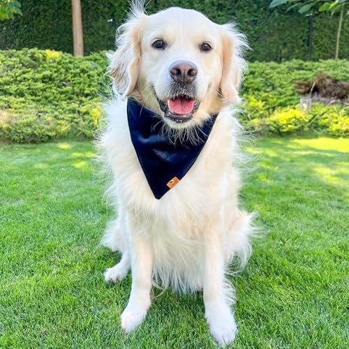 Schwarzes Halstuch für Hunde, Hundehalstuch mit Metallverschluss, Verstellbares Hundehalstuch (Schwarz, L)