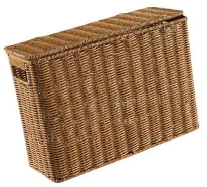 KESOTO Tall Narrow Storage Box, Woven Magazine Rack with Lid, Portable Narrow Basket, Narrow File Cabinet for Bathroom, S