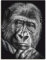 ARTLAND Wanddeko Leinwand Bilder Wandbild 60x80 cm Gorilla Porträt Tiere Affe Asien Schwarz Weiß Modern Kunst Q7MN