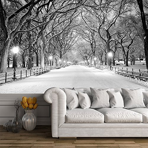 azutura Winter Trees Central Park New York Wall Mural Wallpaper available in 8 Sizes Digital